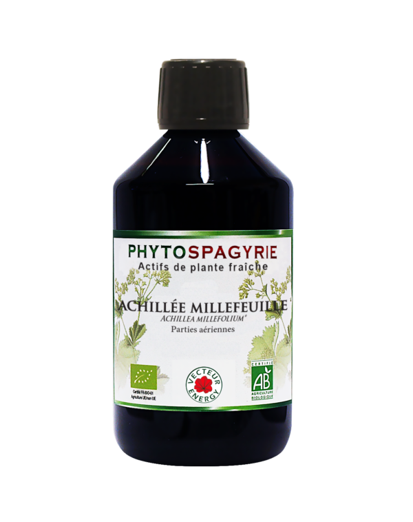 Phytospagyrie de plante fraiche Achillee* 300ml