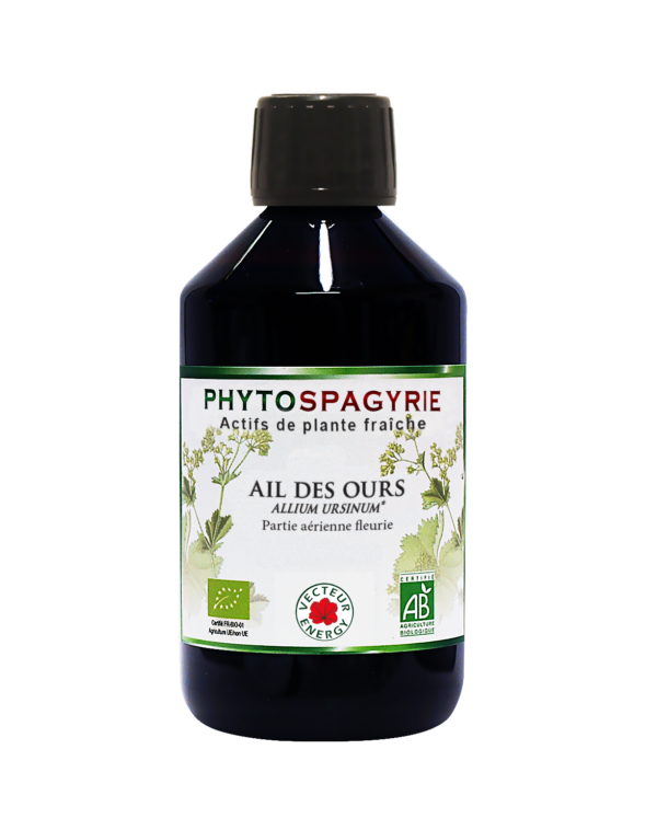 Phytospagyrie de plante fraiche Ail des ours* 300ml