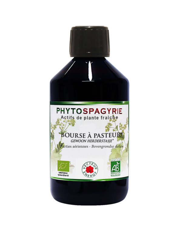 Phytospagyrie de plante fraiche Bourse a pasteur* Capselle PE 300ml