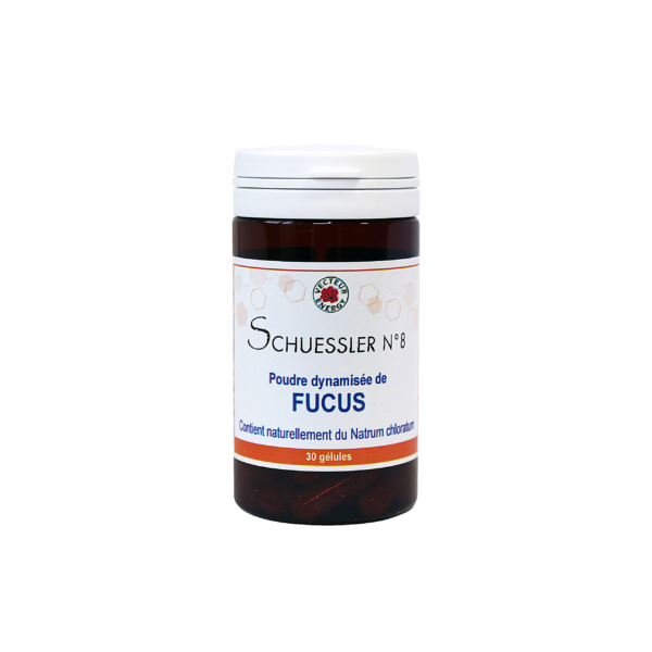 Natrum chloratum dynamisee Sels biochimiques de Schuessler 30 gelules 500mg