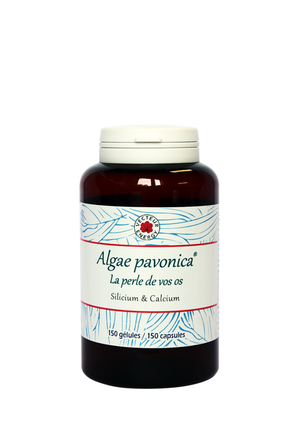 Conditionnement Padina Pavonica 150 gelules vegetales 500mg