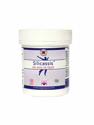 Silicassis-gel-base-de-silice-15-09-22