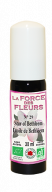 force des fleurs étoile de Bethléem